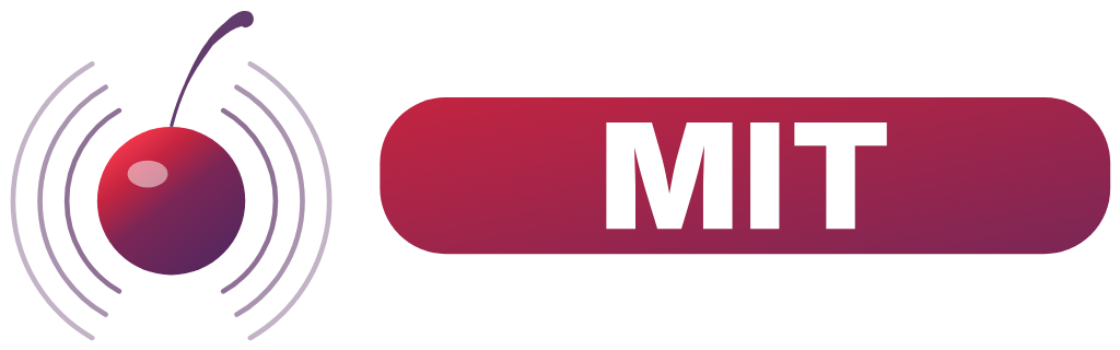 MIT Srl